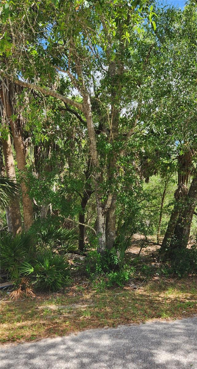 PORT CHARLOTTE SEC 013 - Land