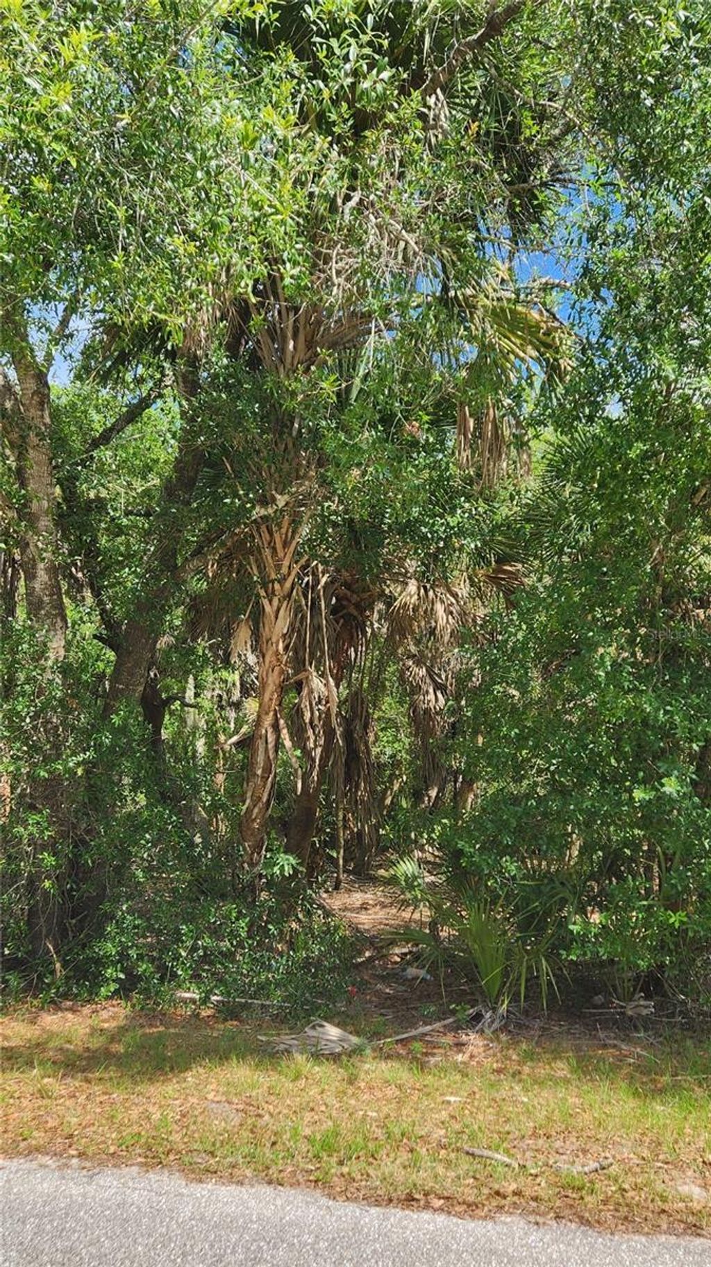Photo of 23190 Glen Avenue, Punta Gorda, FL 33980 (MLS # C7524719)