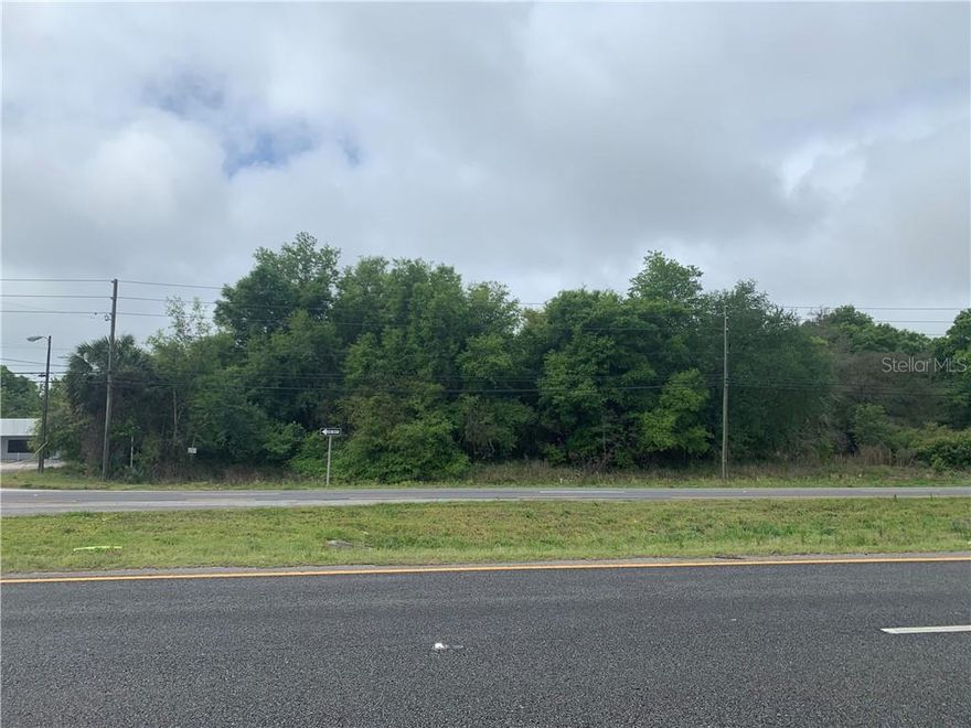 High and dry property with just under an acre zoned B4 with 208 feet of Woodland Blvd/Highway 17 frontage. The remaining acreage is zoned A3. All sorts of possibilities for development.