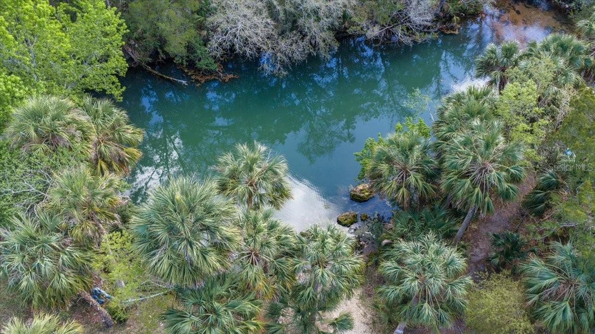 PALM GROVE COLONY - Residential