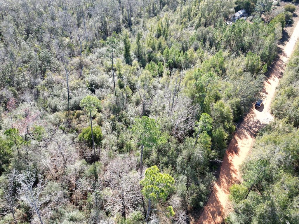 Photo of Mckinney Lane, Alford, FL 32420 (MLS # GC537785)