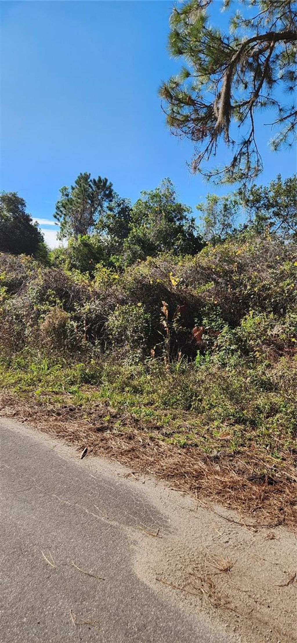 Photo of 0000 Malauka Radial, Ocklawaha, FL 32179 (MLS # OM693120)