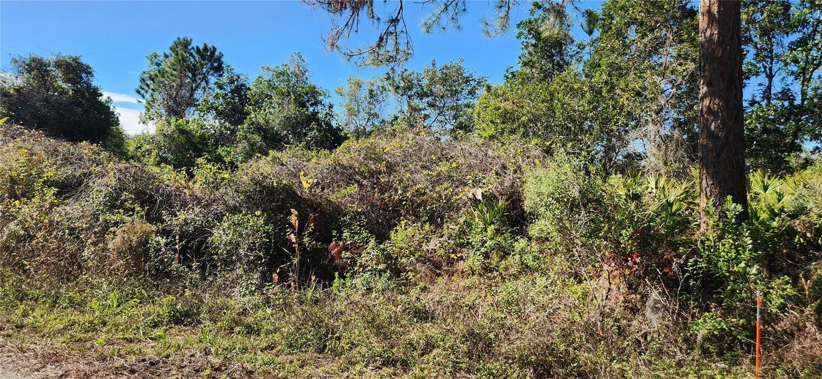 SILVER SPGS SHORES UN 31 - Land