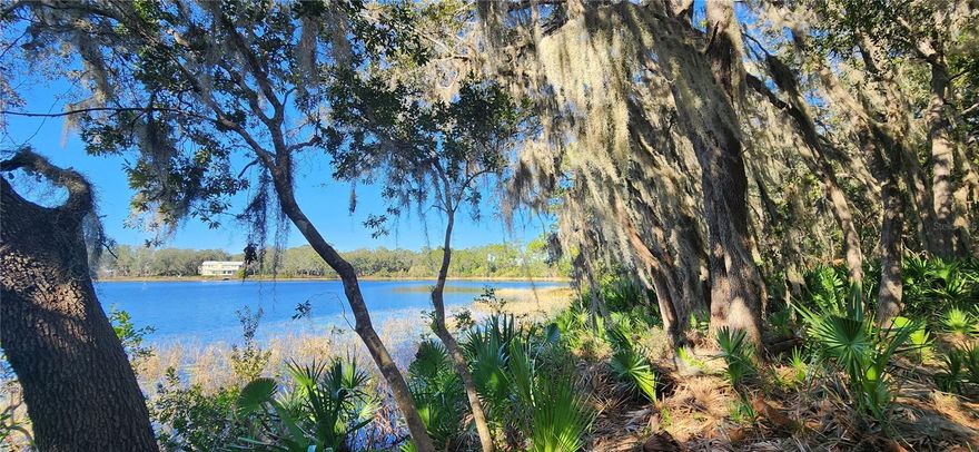 WANT A FANTASTIC WATER VIEW? This lot on Meadow Lake awaits your imagination for Your peaceful sanctuary. There is an adjacent parcel OM693094 also for sale that would make it over 1/2 acre. Beside being on Meadow lake this property is close to Ocklawaha river. Which runs north, and also south to the Harris chain of lakes and on to Mt Dora. Lots of great fishing in the area as well as lots of area to go for longer boat rides to explore. The ocala National Forest is also close by if you are into hunting.