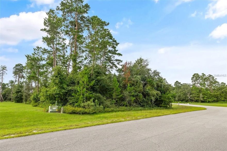 Imagine designing your dream home on this stunning 1.99-acre undeveloped lot in the picturesque Timberwood Acres neighborhood! Nestled in beautiful Pasco County, this prime location offers convenient access to Tampa and nearby areas, making it perfect for those who value both tranquility and accessibility.

This is a rare opportunity to secure one of the best undeveloped sites available in the area. Timberwood Acres is known for its upscale contemporary homes, serene streets with charming cul-de-sacs, and a plethora of beautiful native trees that provide a sense of privacy and peace. 

Don’t let this chance pass you by—this property is priced to sell quickly!