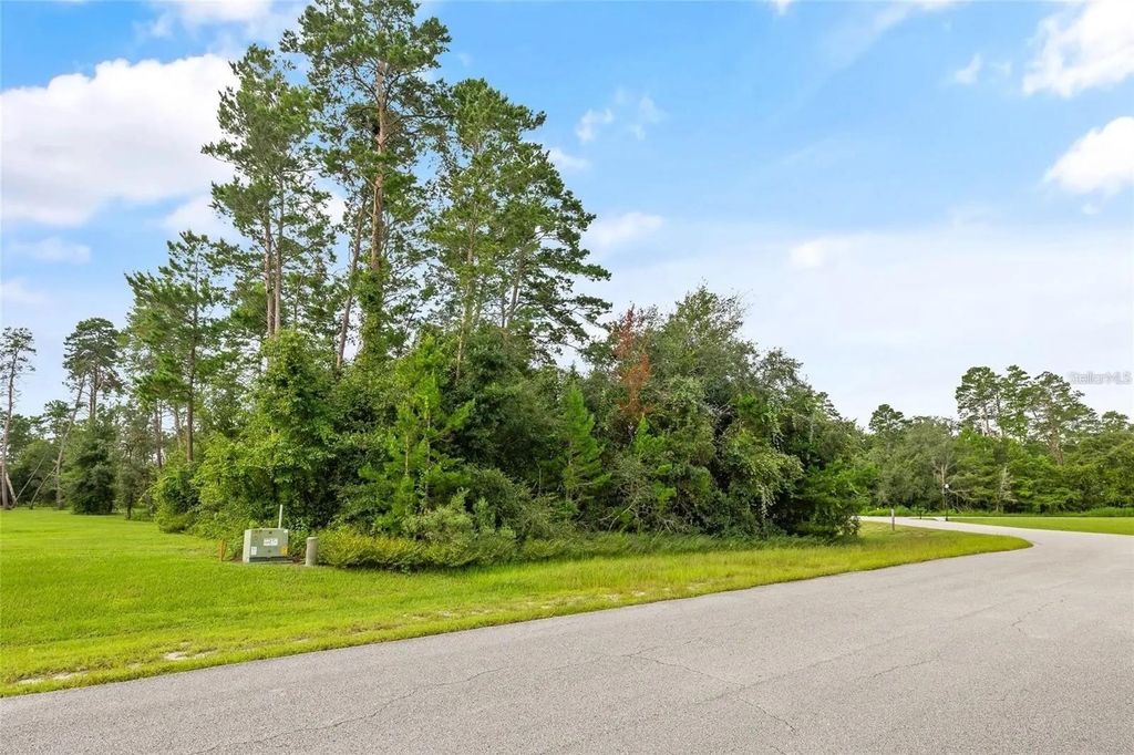 Photo of 13615 Gopher Pond Ct, Hudson, FL 34669 (MLS # TB8387378)