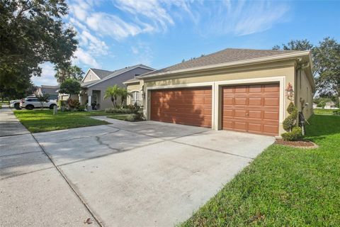 A home in RIVERVIEW