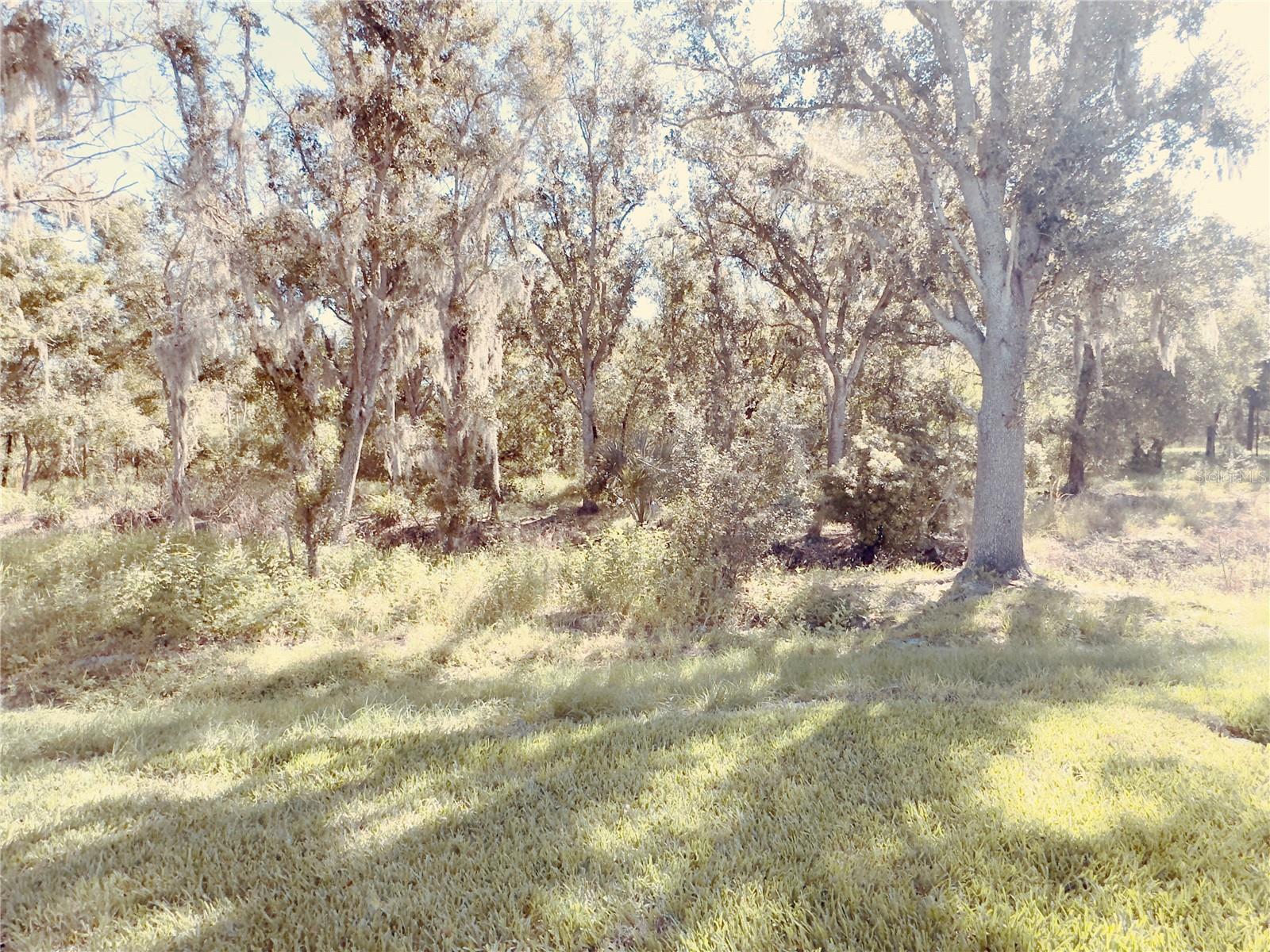 SWEETWATER - Residential Lease