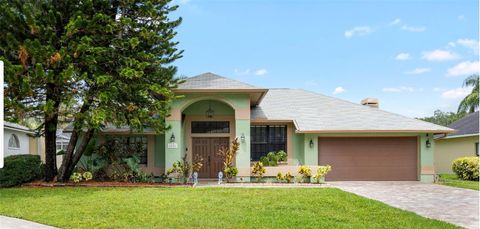 6621 APPALOOSA DRIVE TAMPA FL 33625