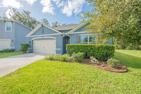 A home in DELAND