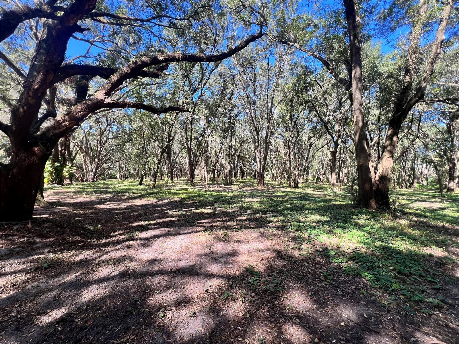 AG NON SUB - Residential