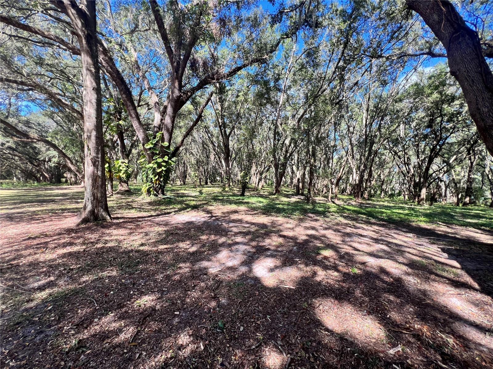 AG NON SUB - Residential