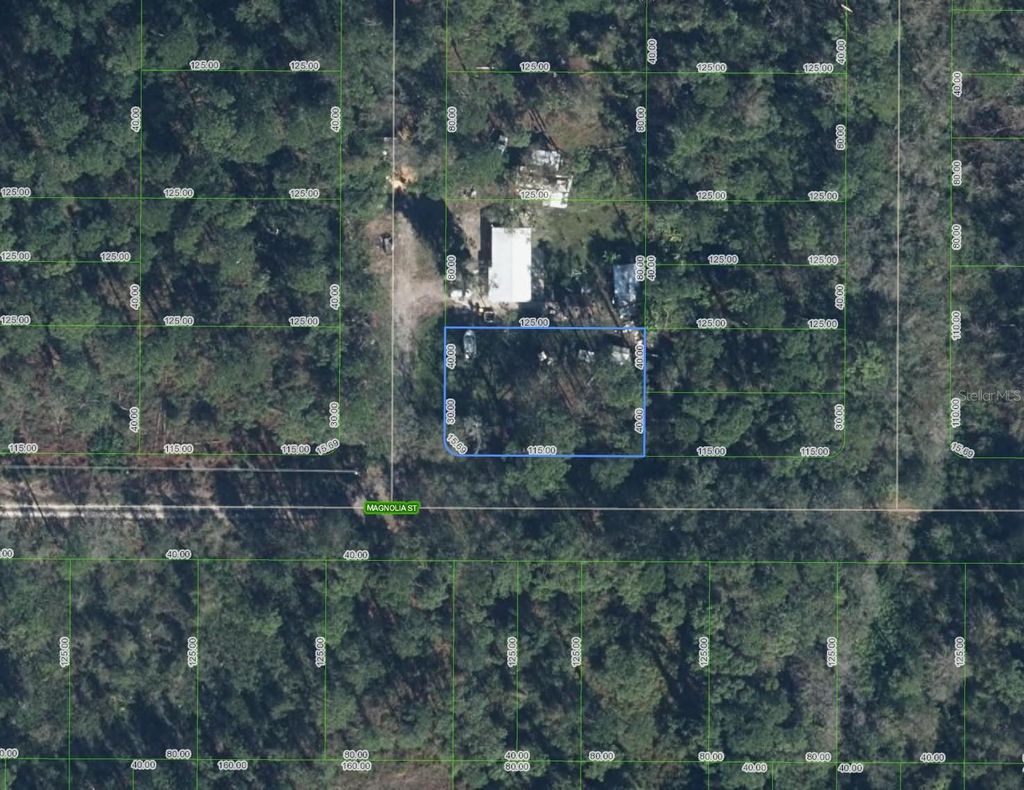Photo of 7114 Daisy Place, Sebring, FL 33875 (MLS # TB8477540)