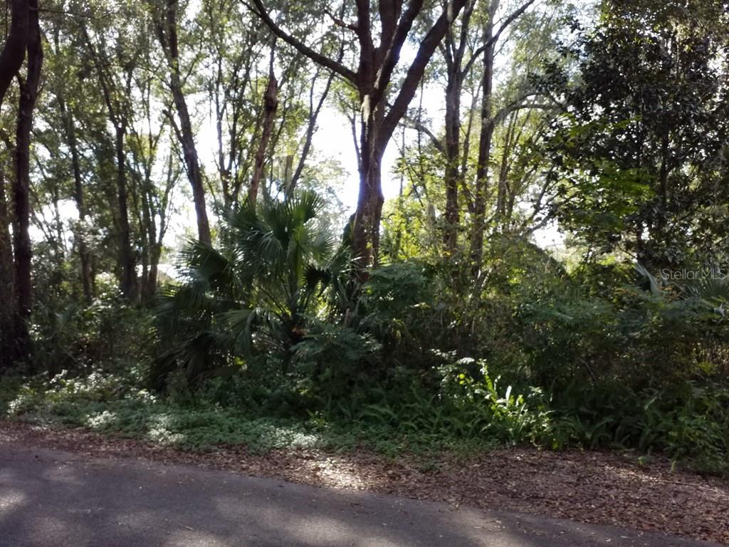 SUWANNEE RIVER HEIGHTS - Land