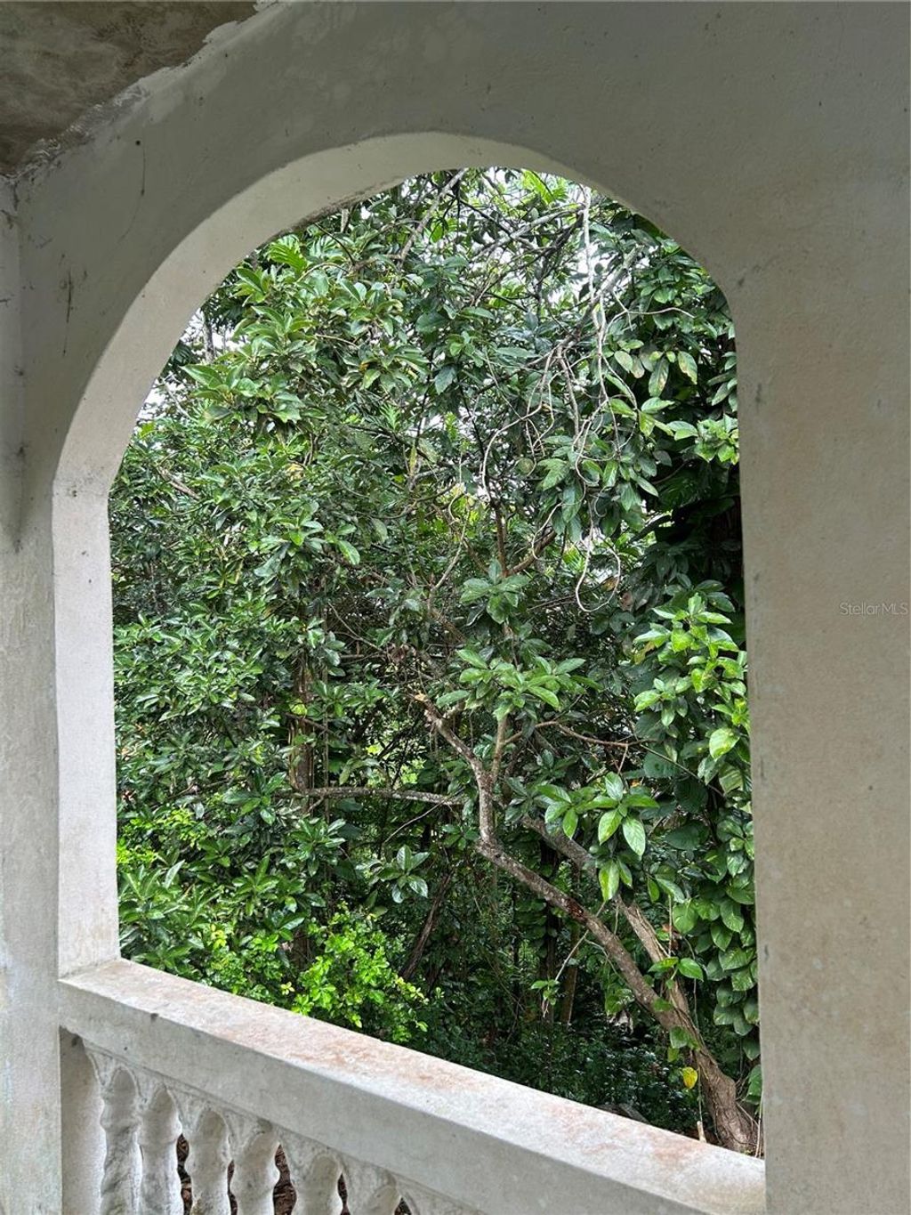 Photo of Bo Guaraguao Parcelas Lã“pez Cases #26, Guaynabo, PR 00966 (MLS # PR9119595)