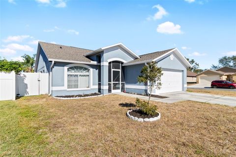 A home in PLANT CITY