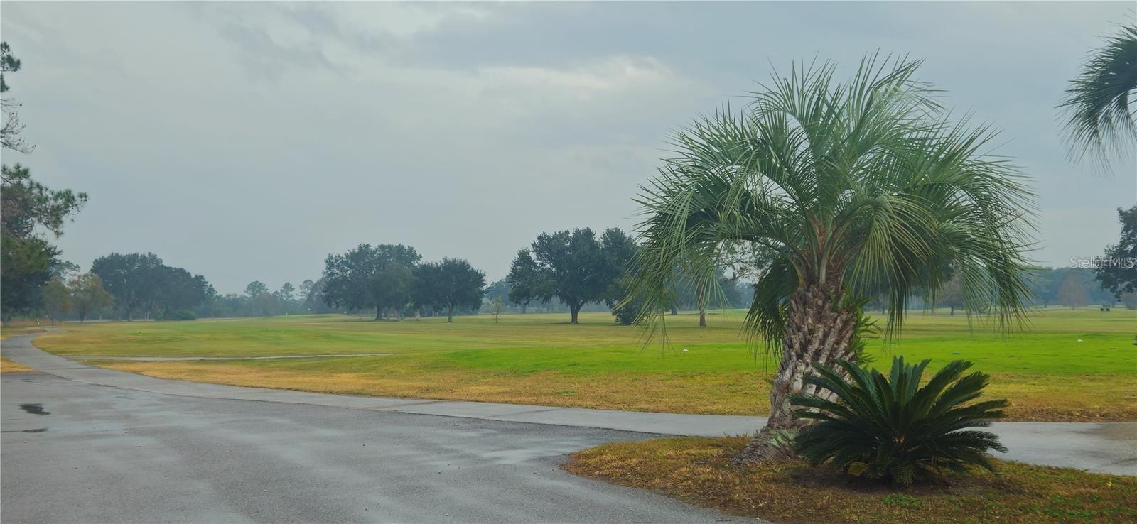 INDIAN LAKE ESTATES - Land