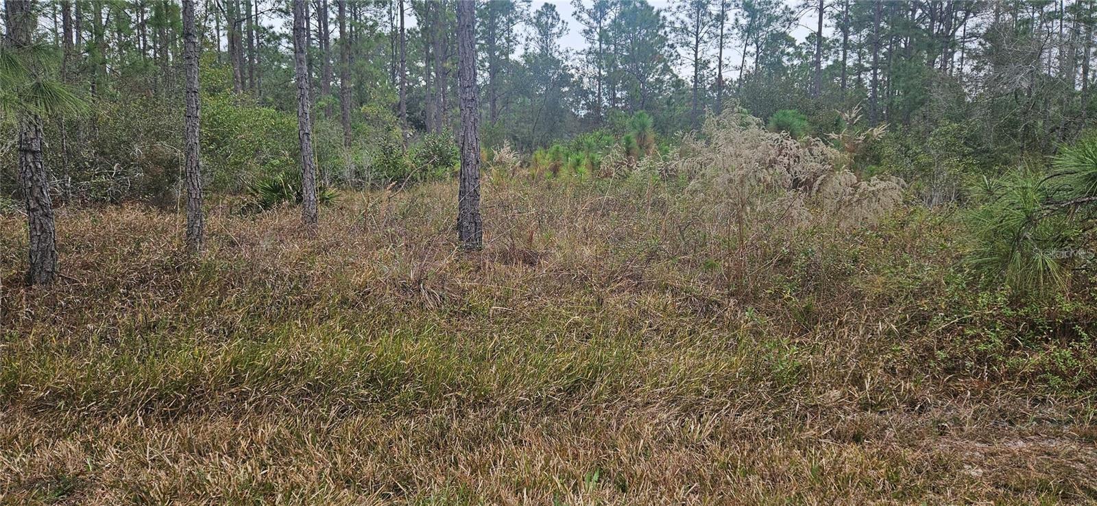 INDIAN LAKE ESTATES - Land