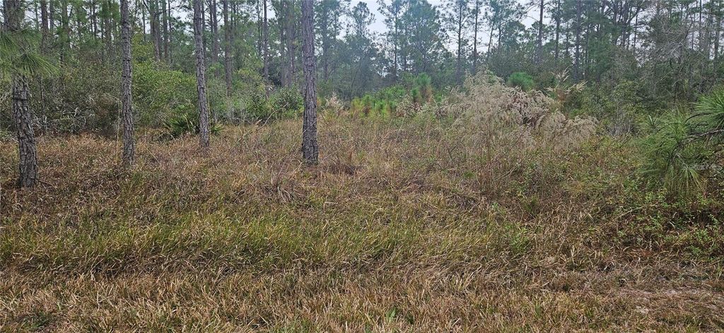 Photo of 408 Pandora Drive, Indian Lake Estates, FL 33855 (MLS # P4937720)