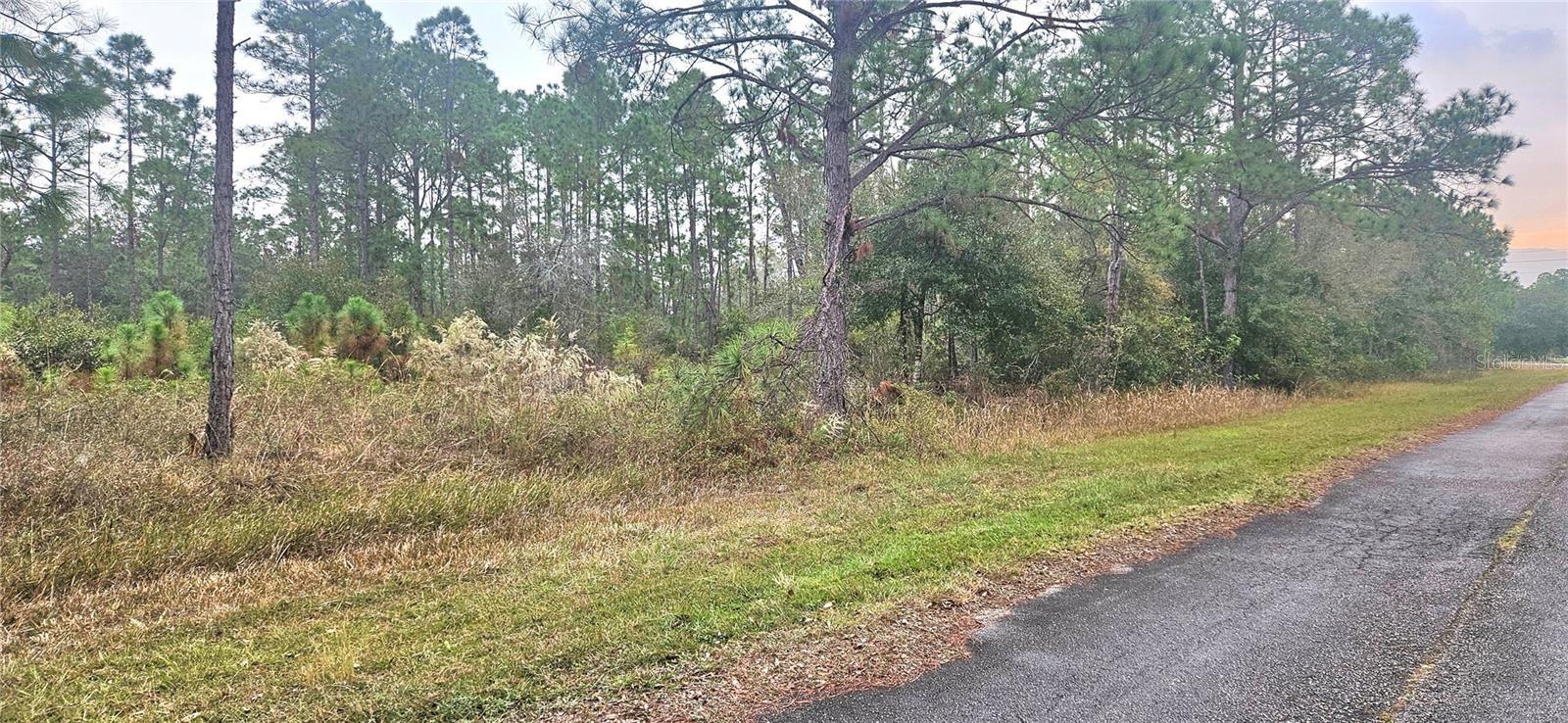 INDIAN LAKE ESTATES - Land