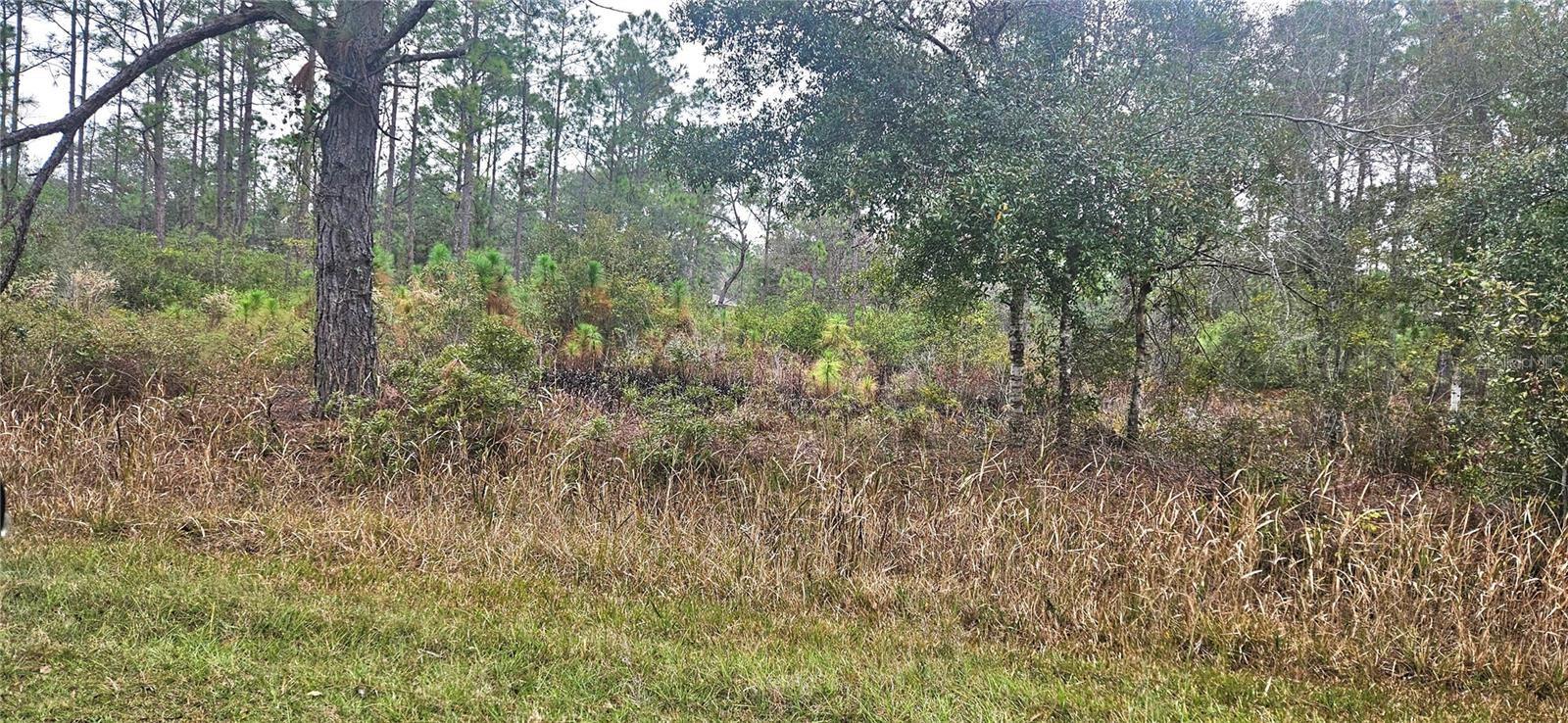 INDIAN LAKE ESTATES - Land