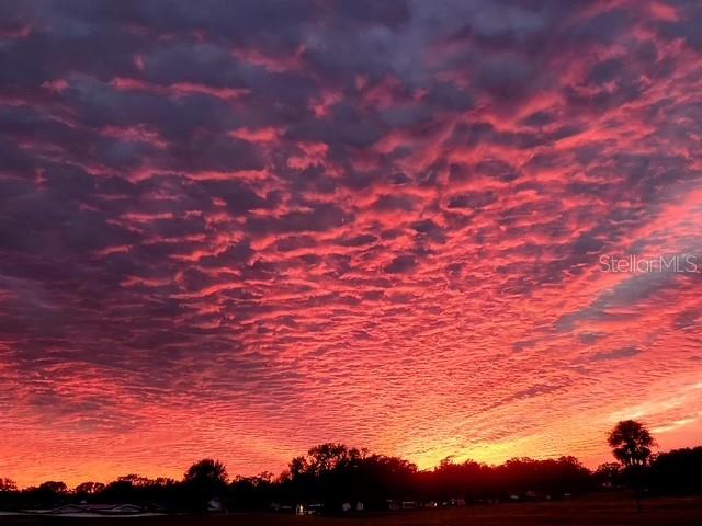 ORANGE BLOSSOM GARDENS UNIT 10 - Residential