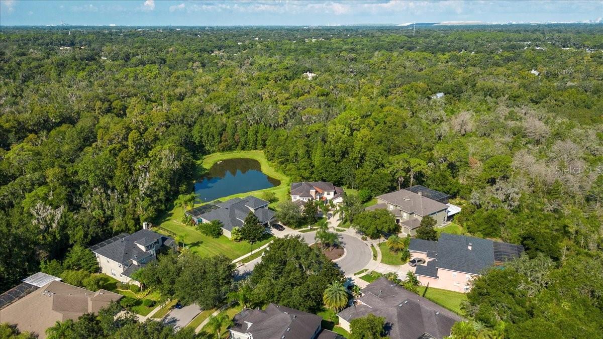 RIVERWOODS HAMMOCK - Residential