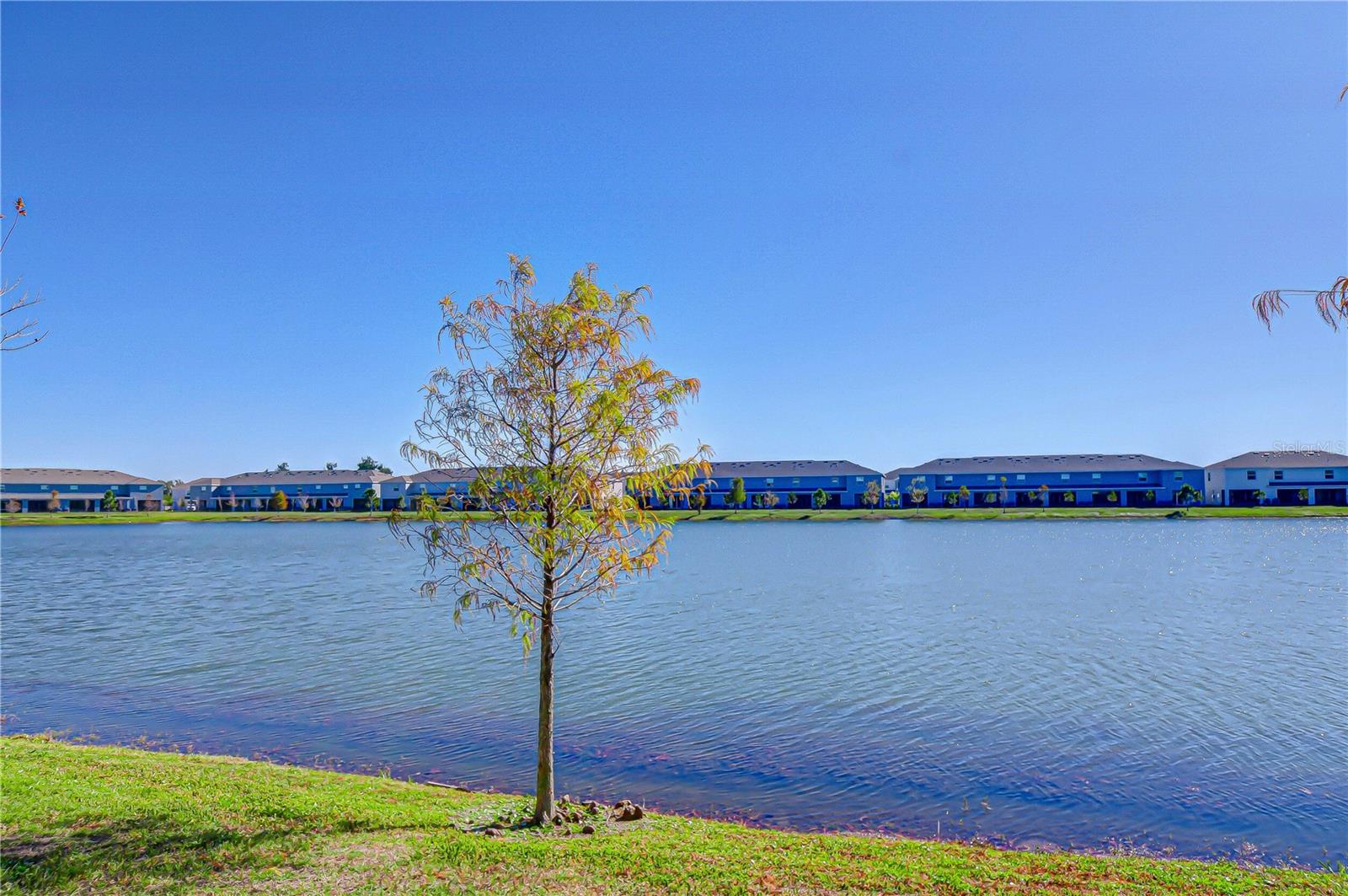 MANGROVE POINT - Residential