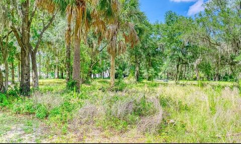 28103 GRANDVIEW MANOR YULEE FL 32097