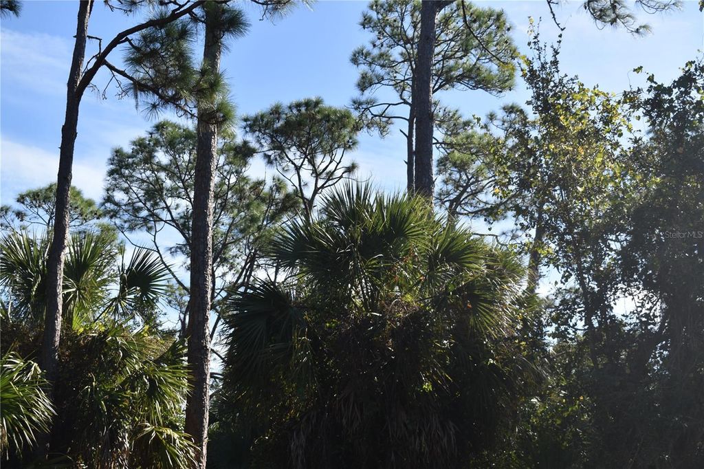 Photo of 174 Bishop Street, Port Charlotte, FL 33954 (MLS # C7518892)