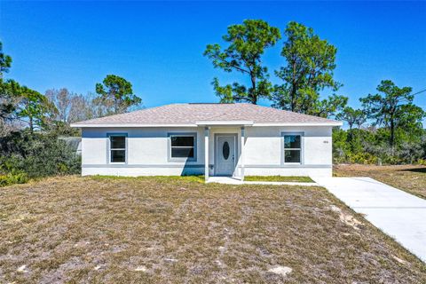Photo of 1406 Bittersweet Street, Lake Placid, FL 33852 (MLS # L4959155)