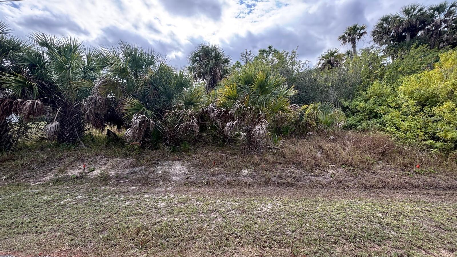 PORT CHARLOTTE SUB 06 - Land