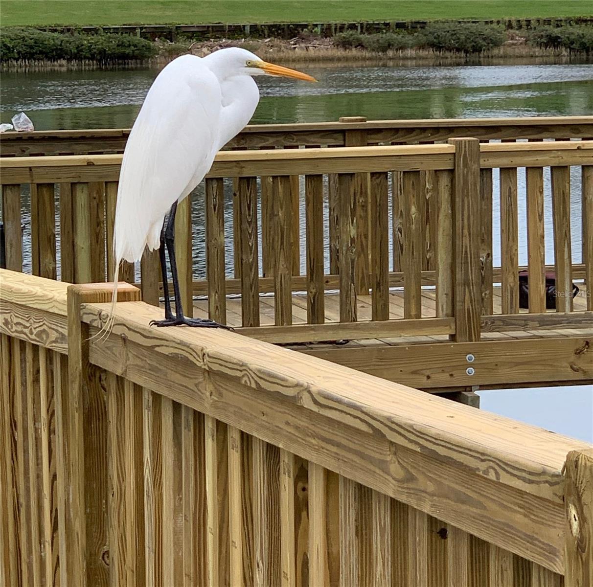 TIDELANDS - Residential