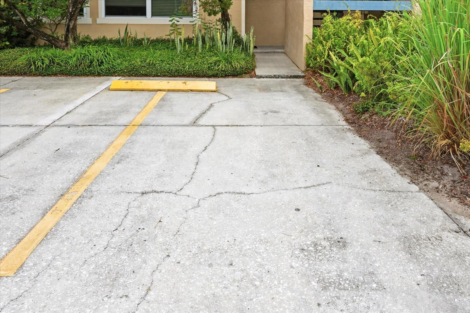 ASBURY PARK A CONDO - Residential Lease