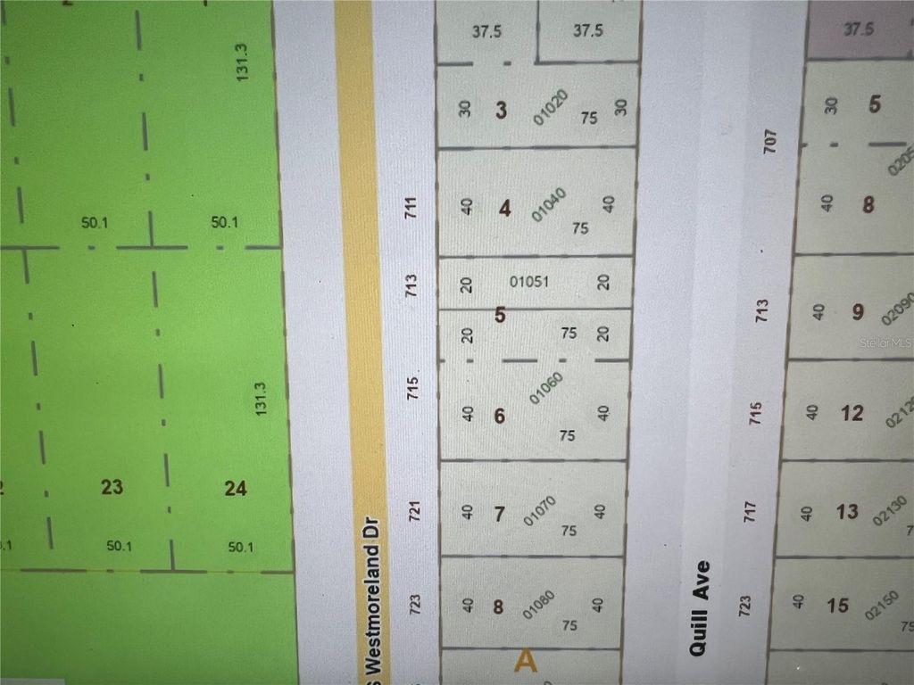 Photo of 711 S Westmoreland Drive, Orlando, FL 32805 (MLS # O6400410)