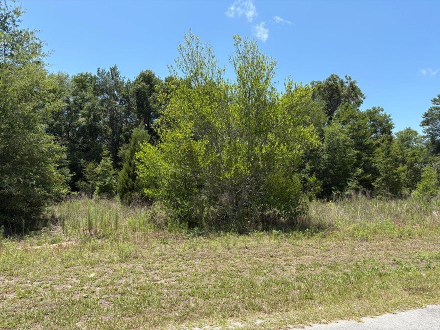 Looking for 2 lots side by side or just take one