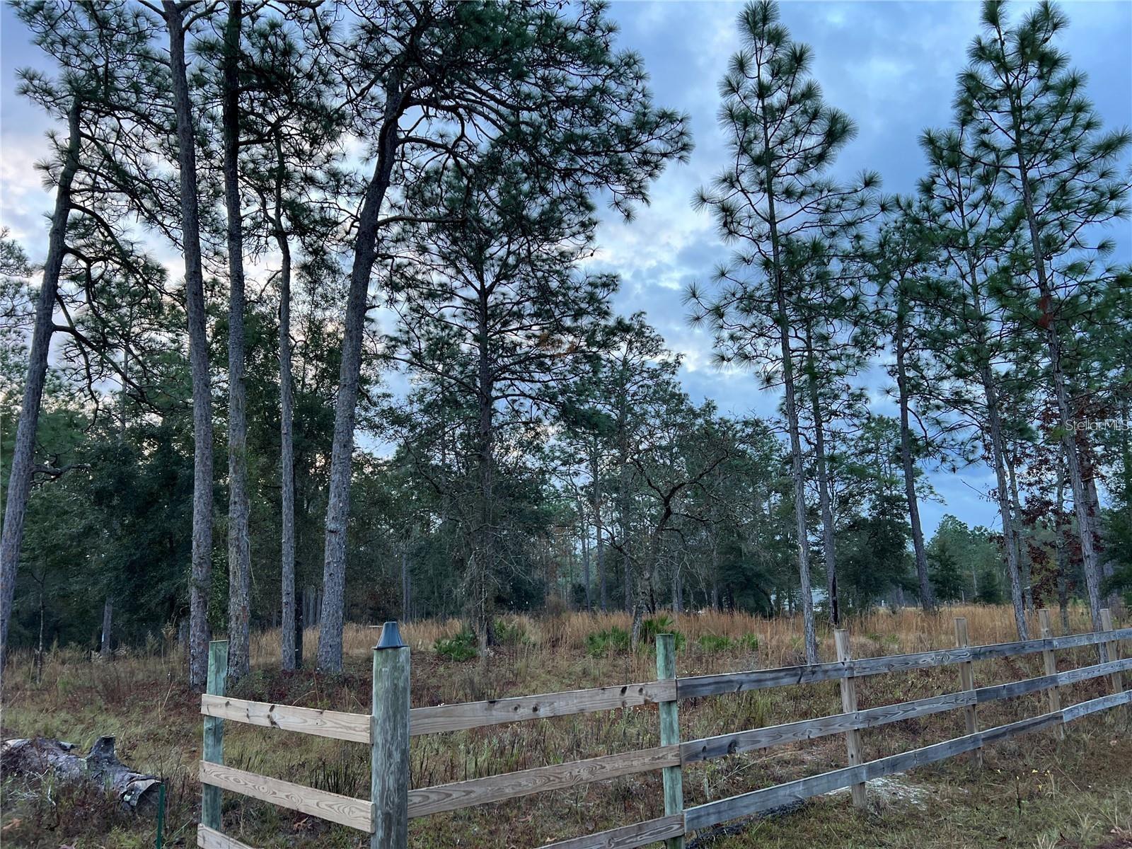 ASHLEY LAKE PLANTATION - Land