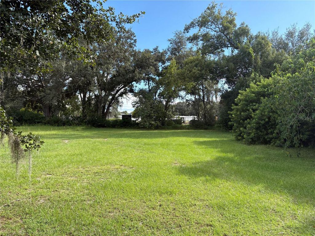 Photo of 1st Street, Polk City, FL 33868 (MLS # L4956335)