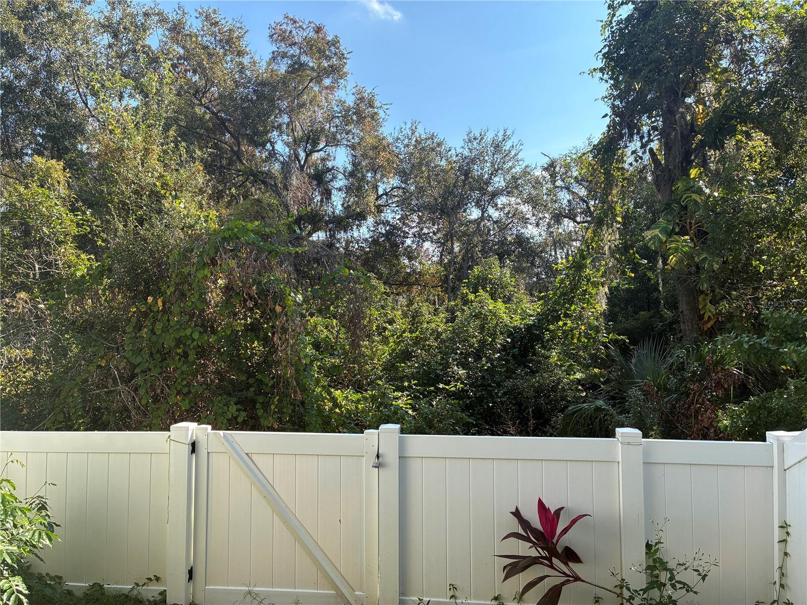 MEADOW POINTE 03 PRCL UU - Residential Lease