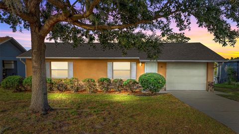 51 CAYMAN CIRCLE UMATILLA FL 32784