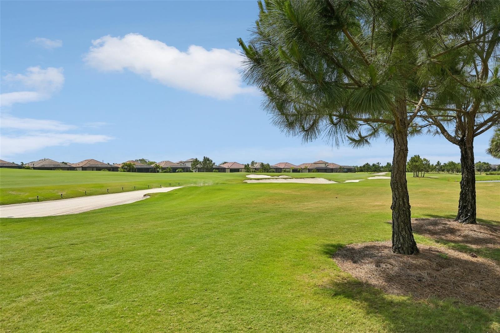 VERANDA VI AT LAKEWOOD NATIONAL PH I - Residential