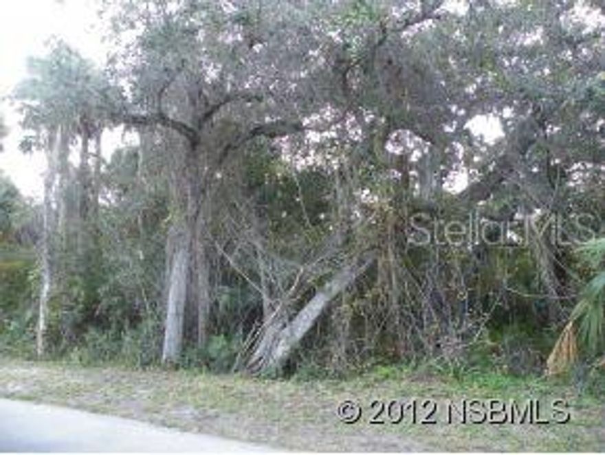 You can easily own this beautiful beach sided wooded lot overlooking the marsh on the west side of the island.Walk easily to shopping and the beach. Enjoying dramatic evening sunsets across the marsh and the Indian River. Architectural guidelines will provide a continuity across the new neighborhood and provide assistance for constructions that complement the guidelines provided by the water management district. Possible owner financing.; Cleared: No ;Water: Available at Site