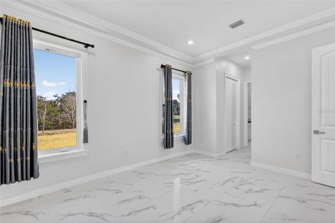 Tiny photo for 588 Dowling Circle, Lady Lake, FL 32159 (MLS # TB8455649)