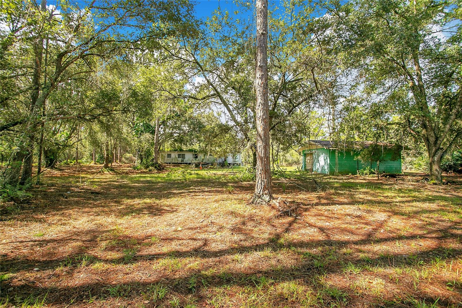 NEW EDEN - Residential