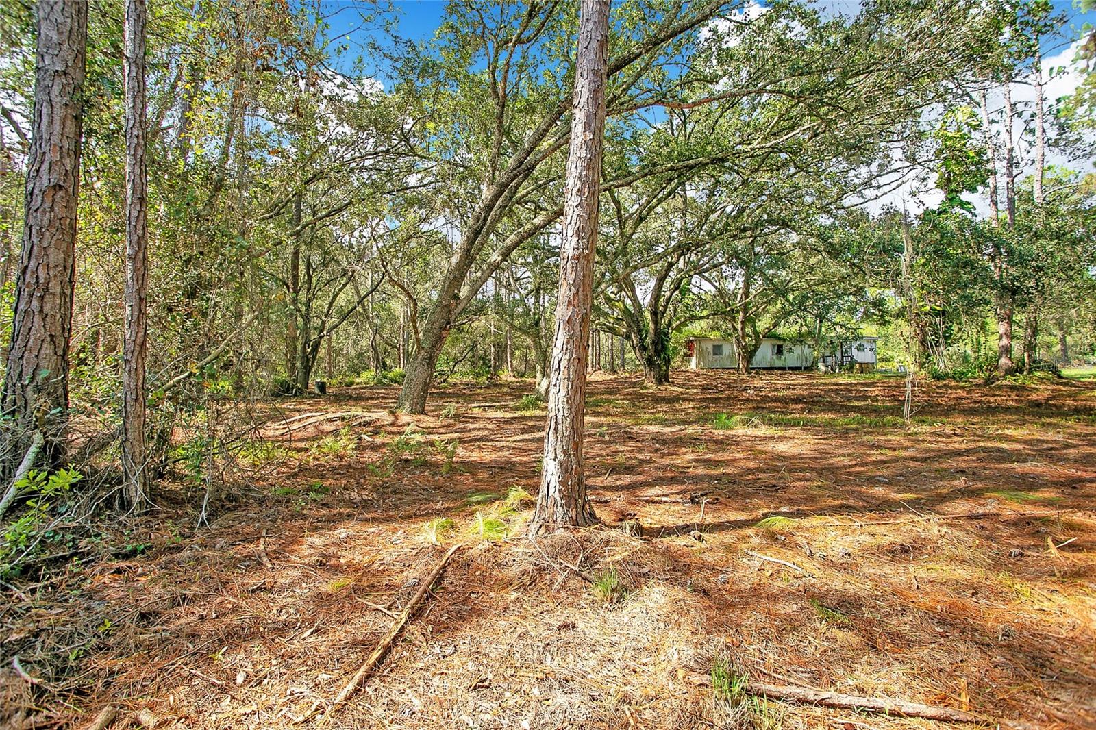 NEW EDEN - Residential