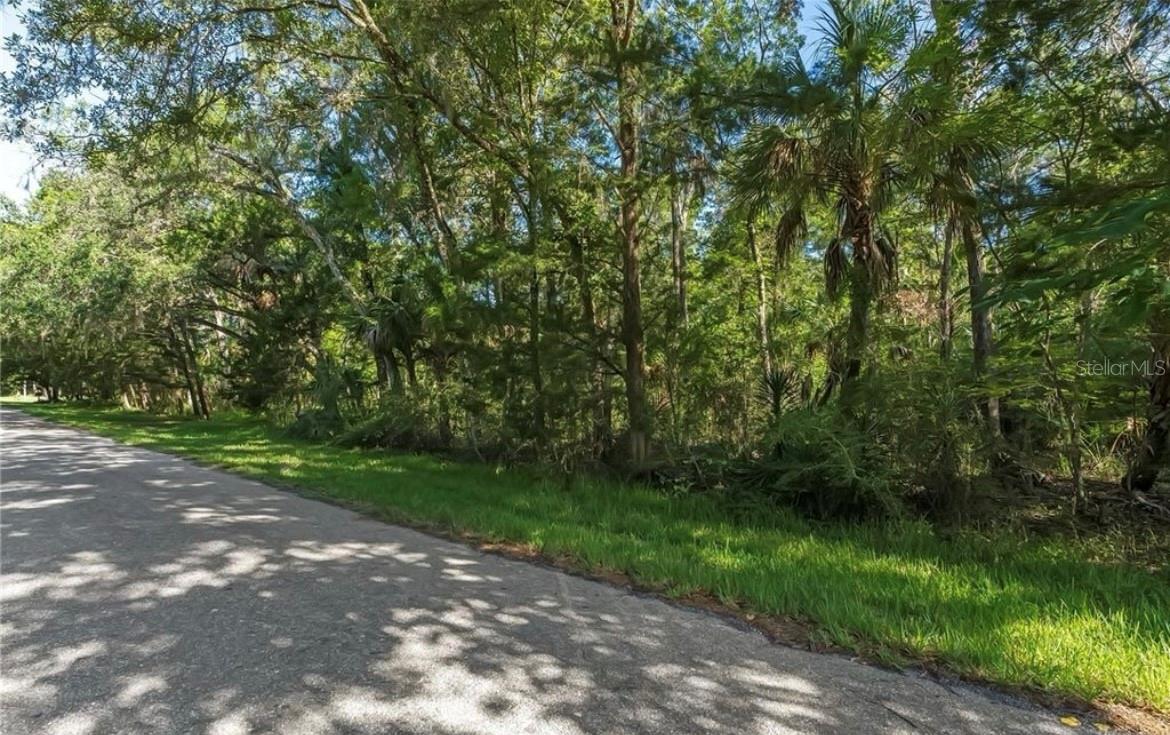 HOMOSASSA RETS UNIT 05 UNREC - Land