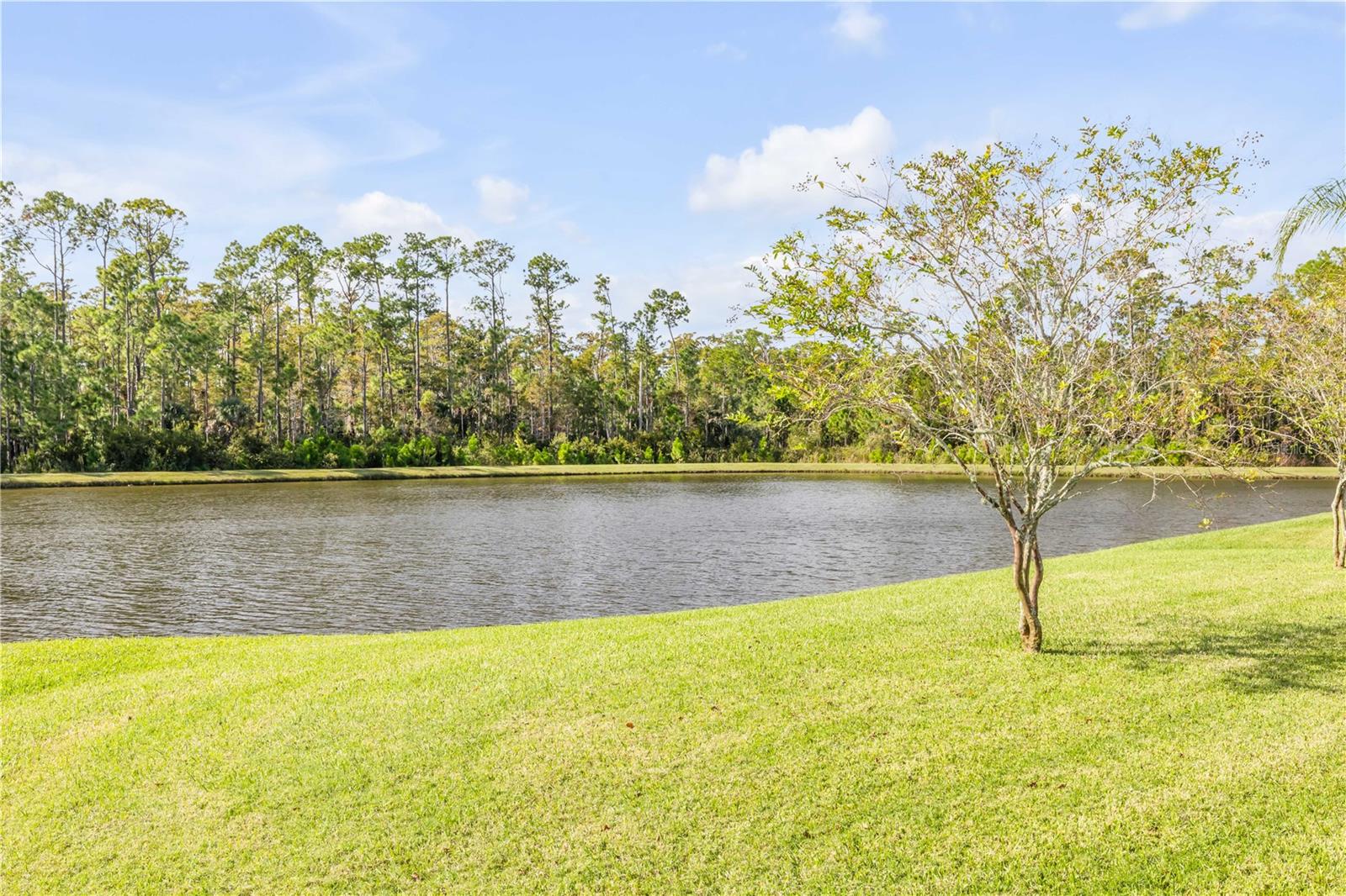 VERANO/VENETIAN BAY - Residential