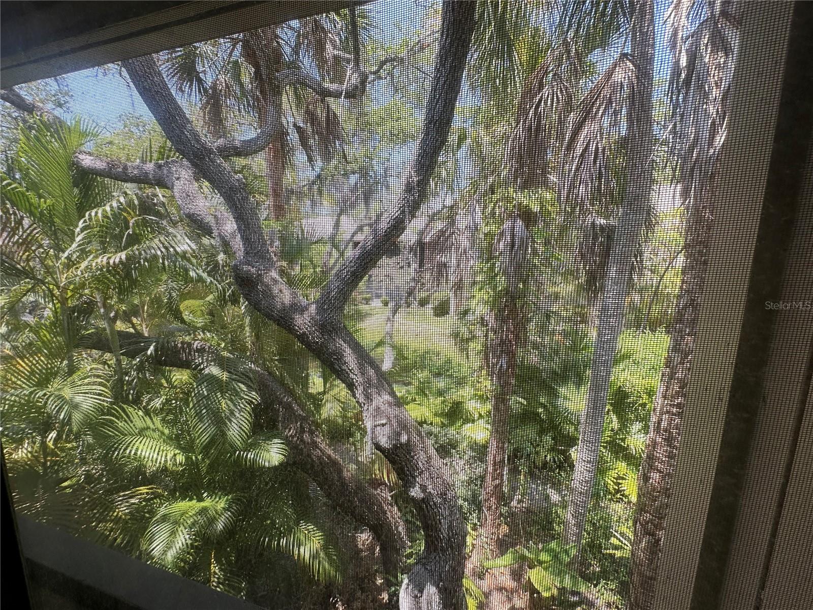 PELICAN COVE XVI - Residential Lease