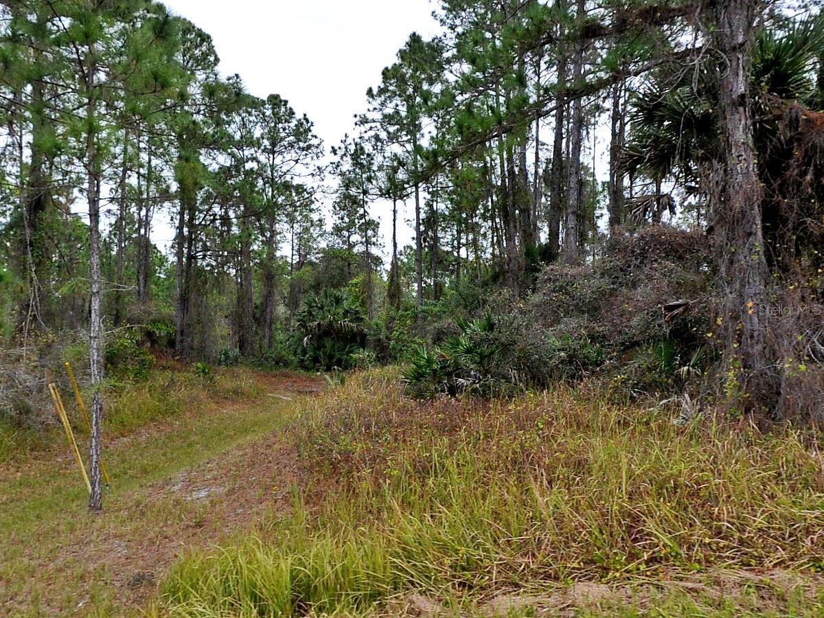 Beautiful, wooded, freshwater canal lot located in the heart of North Port. Drink your morning coffee, kayak, paddleboard, or watch gorgeous Florida sunsets from your very own backyard waterway. If you are thinking of building or investing in real estate, this may be the perfect property for you. Close to boating, fishing, shopping, beaches, restaurants, schools, public boat ramps and area attractions