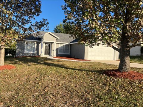Photo of 212 Patrice Hope Street, Leesburg, FL 34748 (MLS # O6359183)